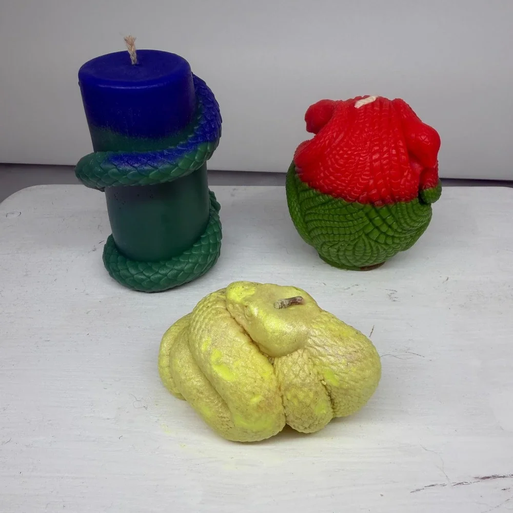 Skull and Snake Candle Set Unisex  Multicolor‎ Soy Gothic Macabre Handcrafted